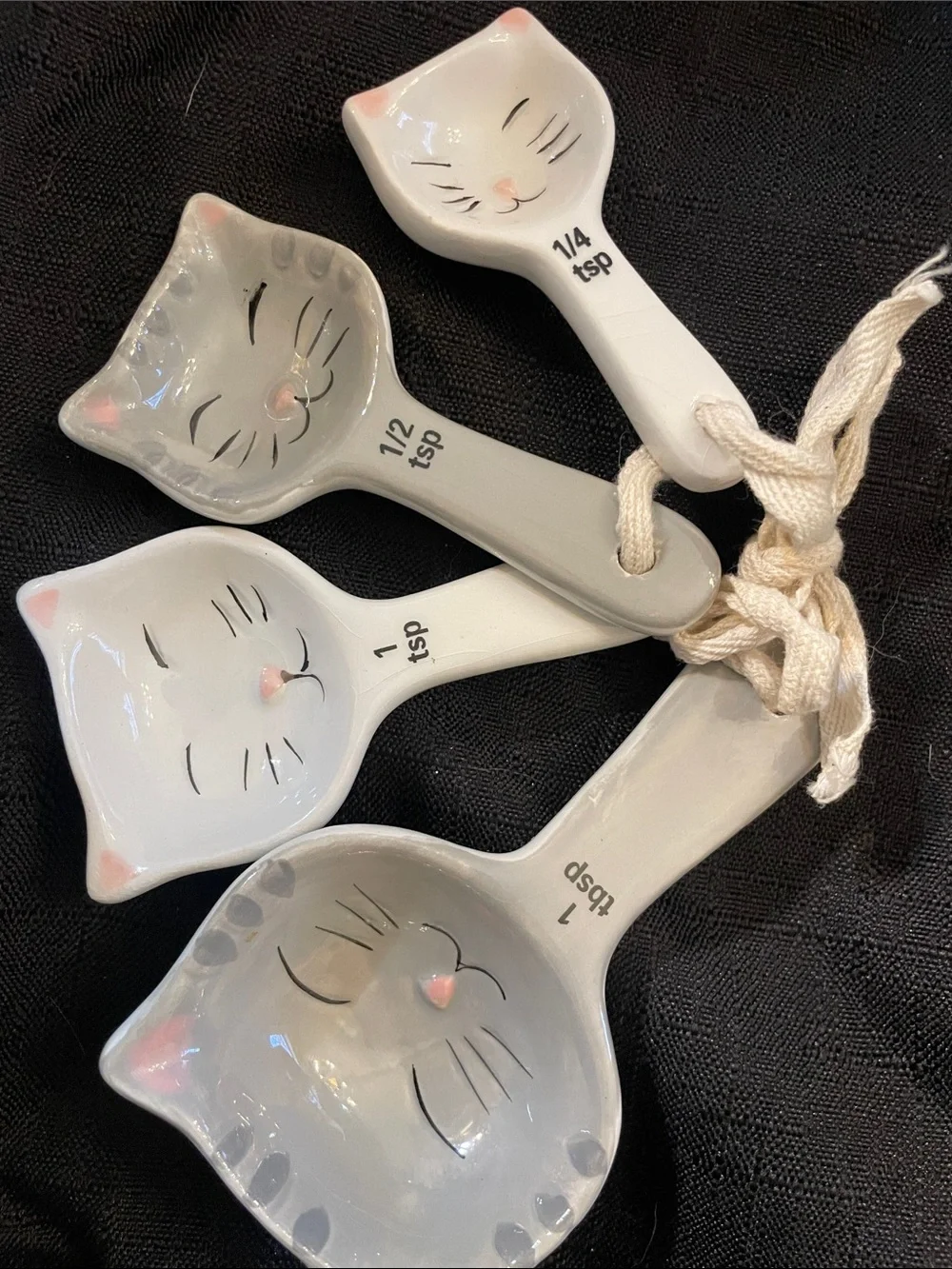 Cost Plus World Market adorable cat